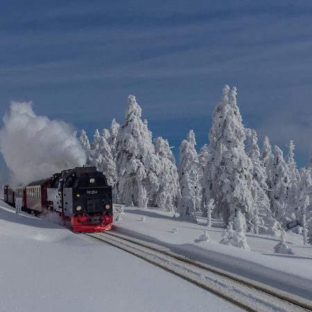 Fewo Fichte Mit Balkon #Netflix #Innestadtnaehe Von Harztraveler バート・ハルツブルク エクステリア 写真